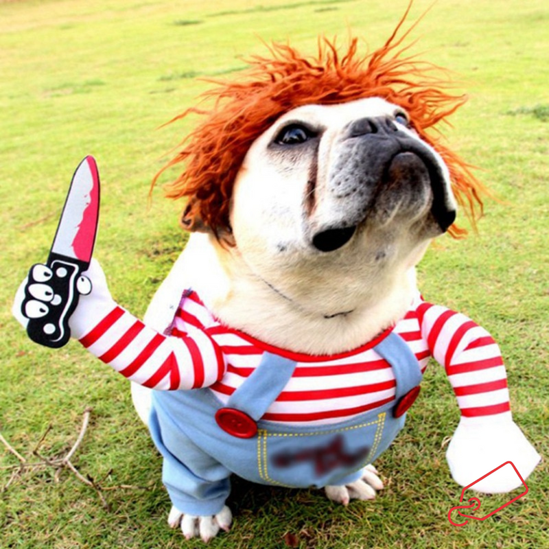 Fantasia Animal Chucky